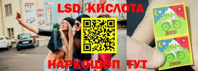 ПСИЛОЦИБИНОВЫЕ ГРИБЫ Тверь