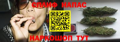 ПСИЛОЦИБИНОВЫЕ ГРИБЫ Тверь