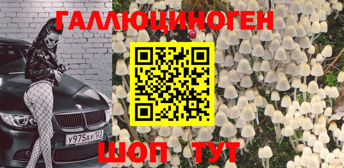 Галлюциногенные грибы мицелий Осинники