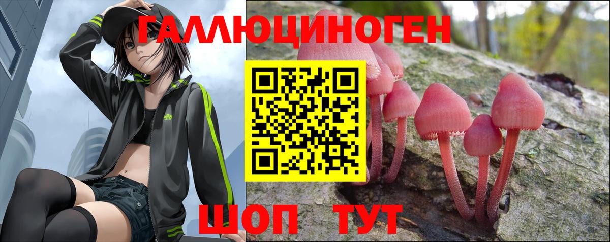 Осинники  закладка  Вход с VPN  Галлюциногенные грибы мухоморы 
